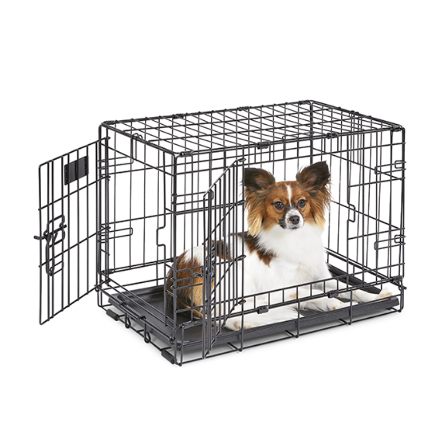 iCrate® Dog Crate