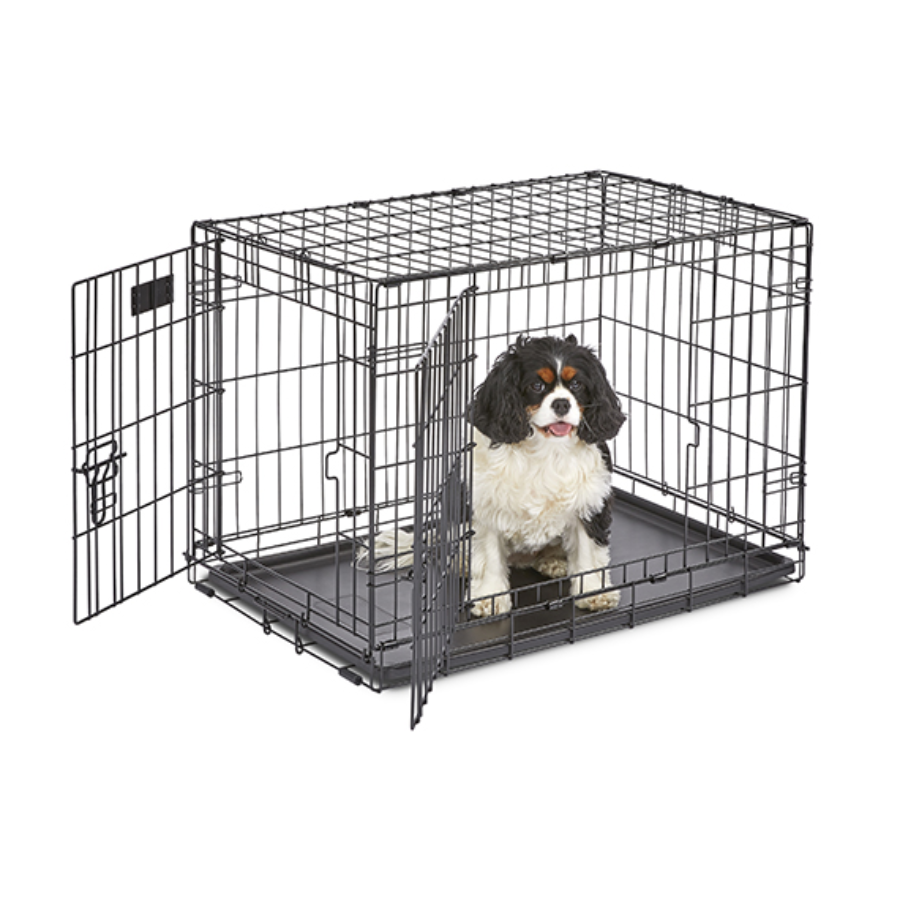 iCrate® Dog Crate