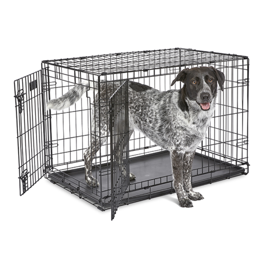 iCrate® Dog Crate