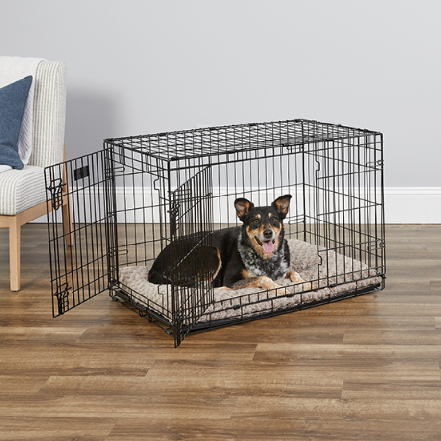 iCrate® Dog Crate