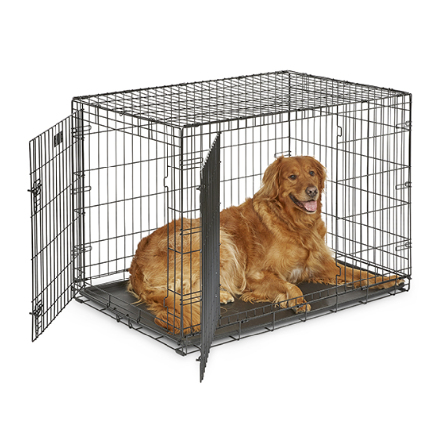 iCrate® Dog Crate