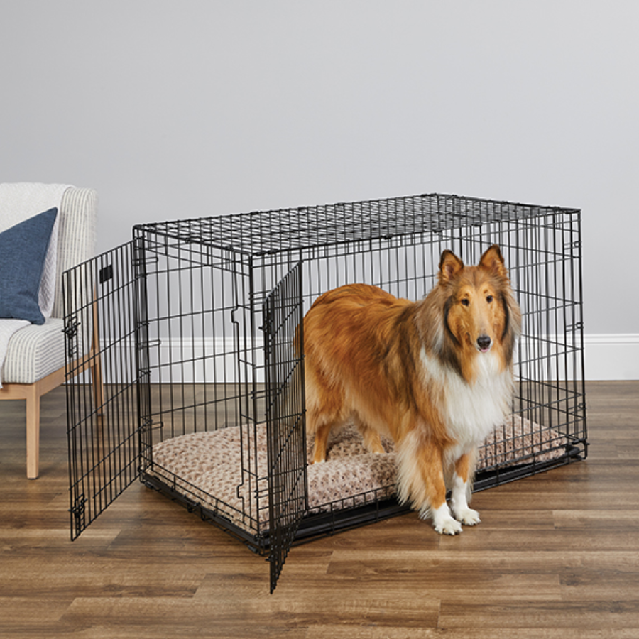 iCrate® Dog Crate