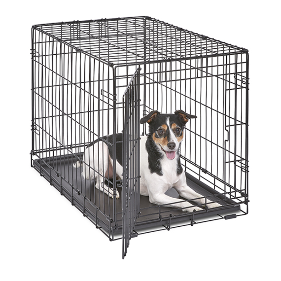 iCrate® Dog Crate