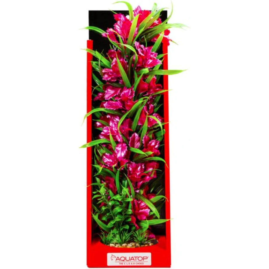 Vibrant Passion Aquarium Plant