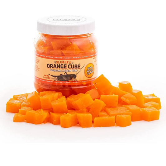 Orange Cube Complete Cricket Diet