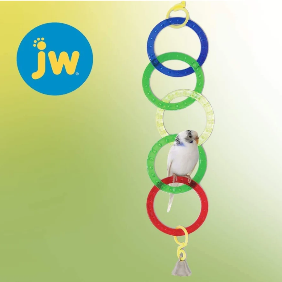 Insight Olympic Rings Bird Toy