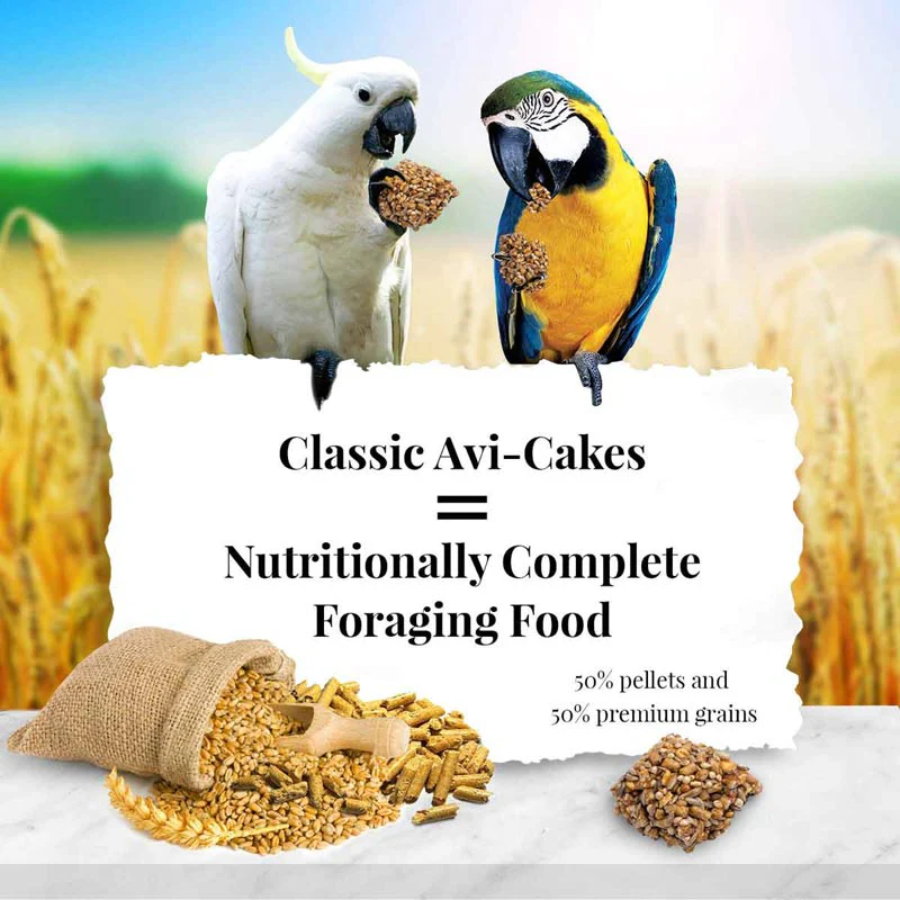 Classic Avi-Cakes Gourmet Macaw and Cockatoo Food