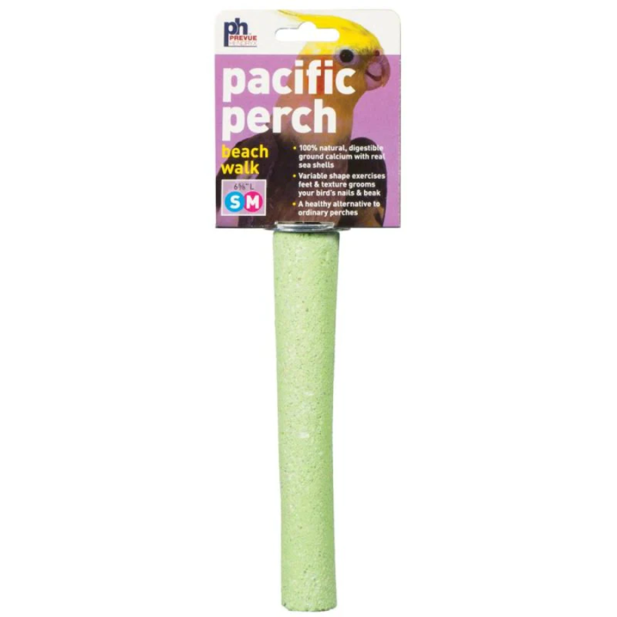 Pacific Perch Beach Walk
