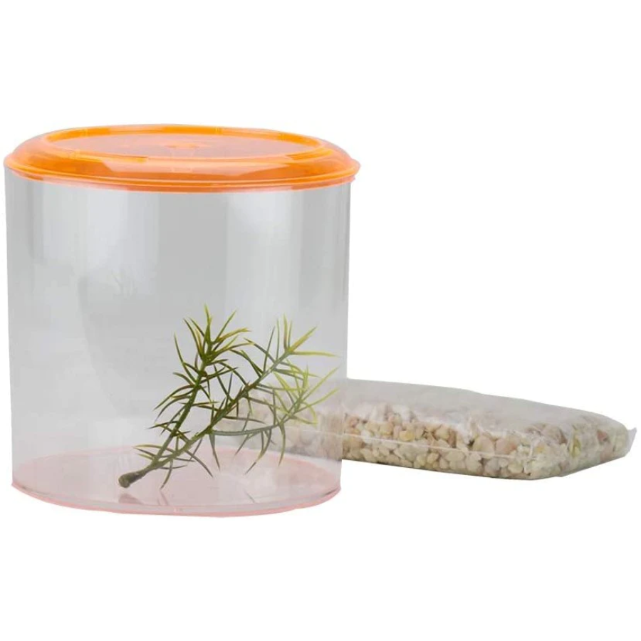 Betta Keeper Round Aquarium Kit