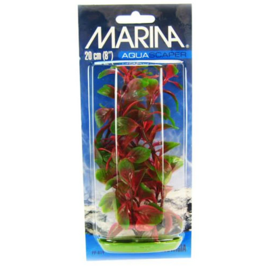 Marina Aquascaper Red Ludwigia Plant