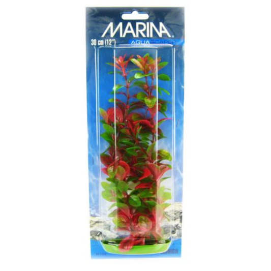 Marina Aquascaper Red Ludwigia Plant