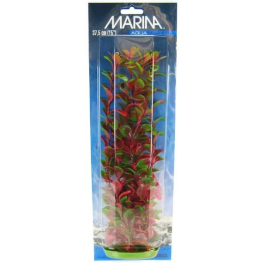 Marina Aquascaper Red Ludwigia Plant