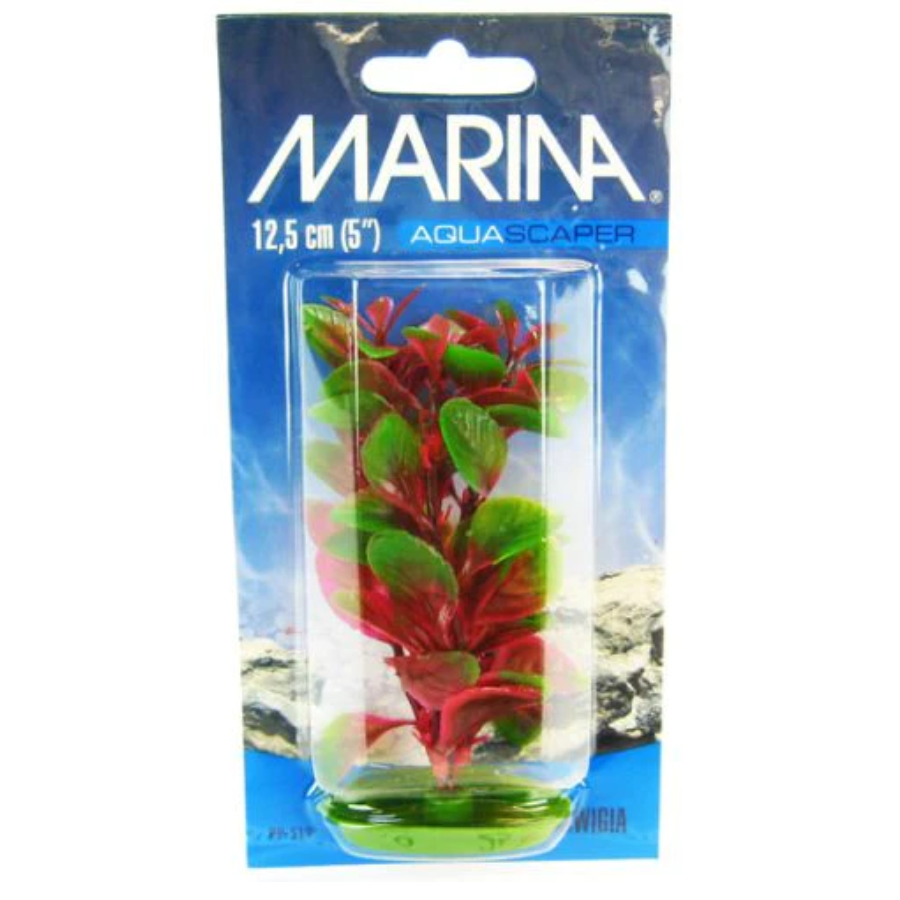 Marina Aquascaper Red Ludwigia Plant