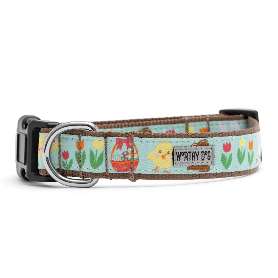 Hoppy Easter Collar