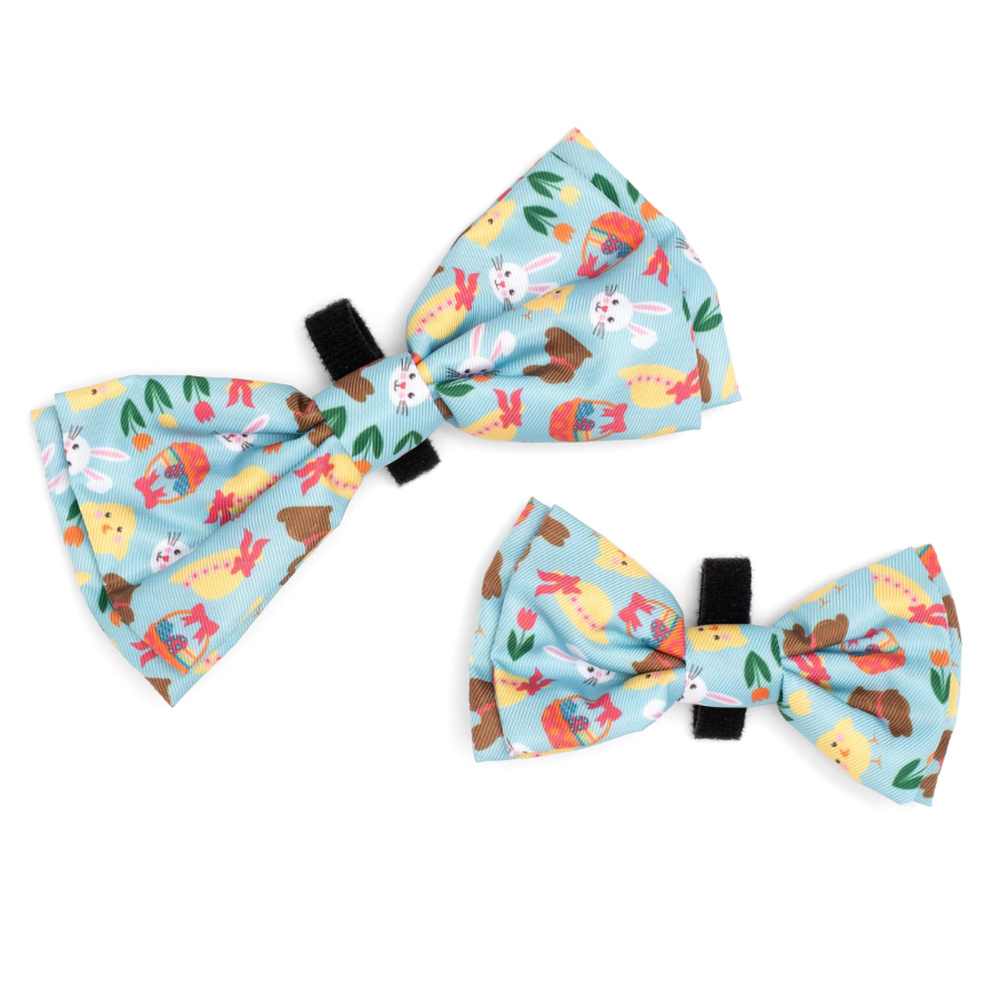 Hoppy Easter Bow Tie