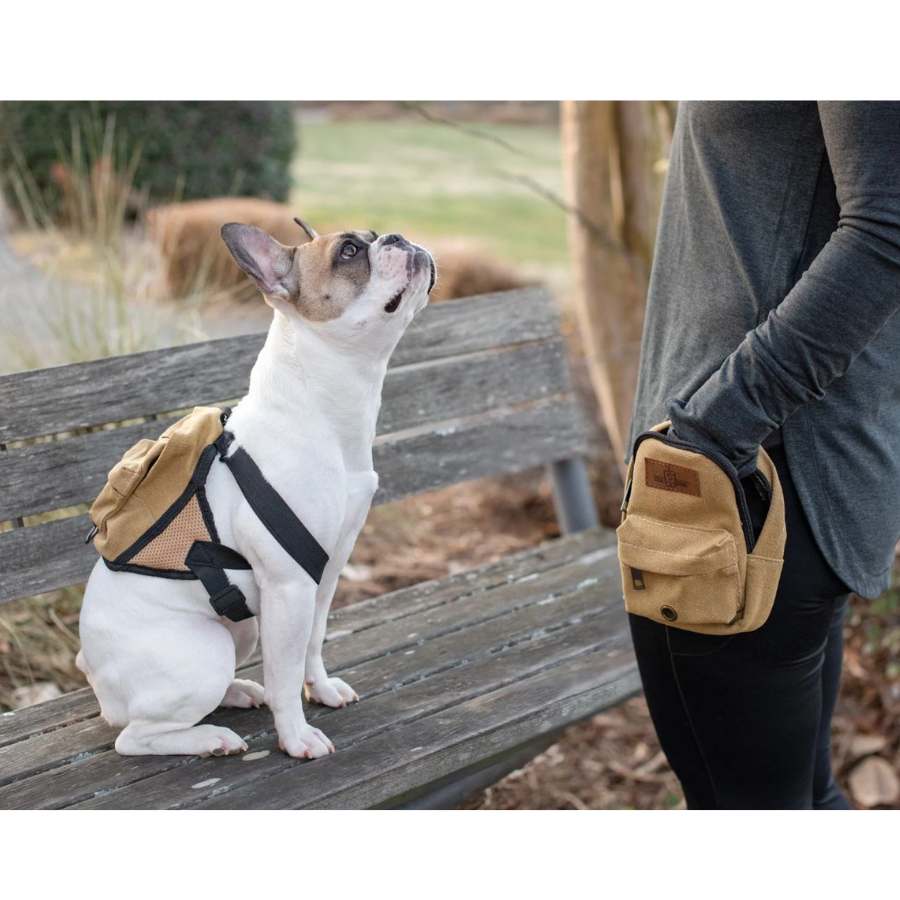 Canvas Pet Treat Training Pouch With Clip