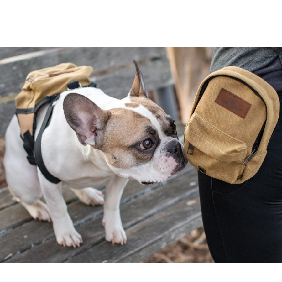 Canvas Pet Treat Training Pouch With Clip