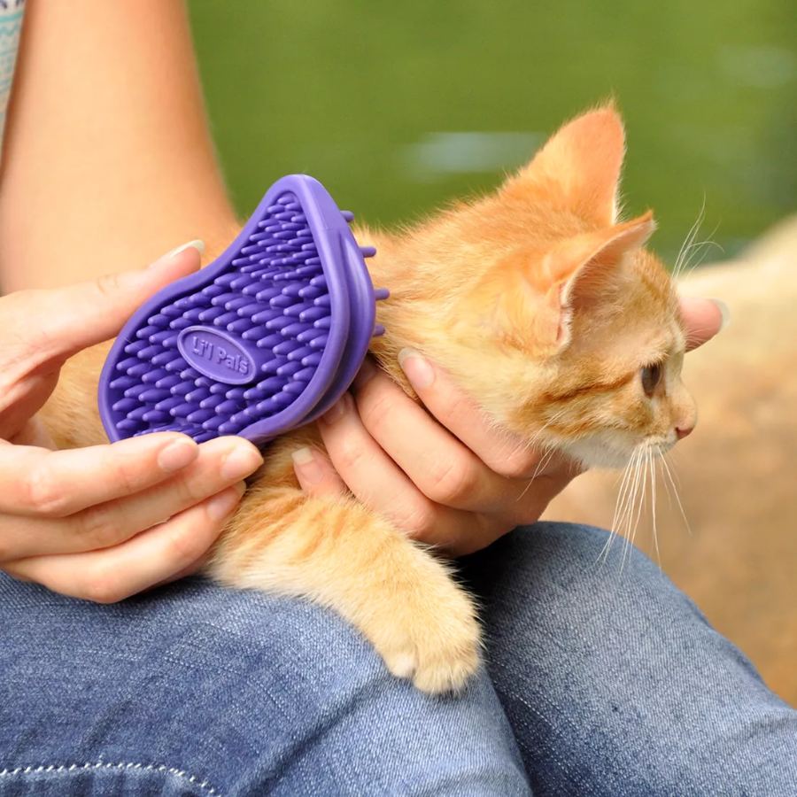 Li'l Pals® Kitten Soft Tip Massager