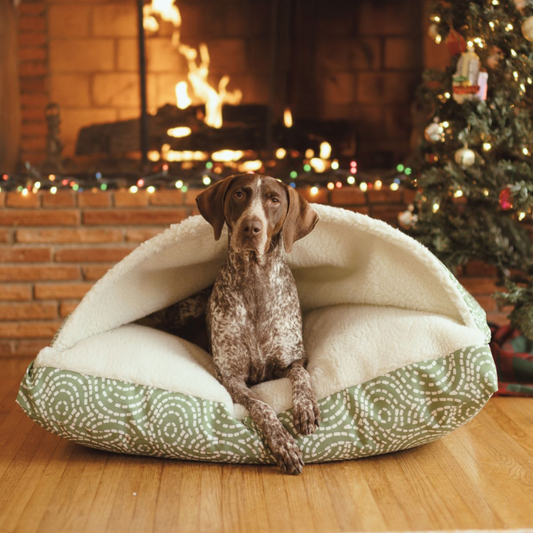 Cozy Cave® Luxury Orthopedic Rectangle Dog Bed - Holiday Collection