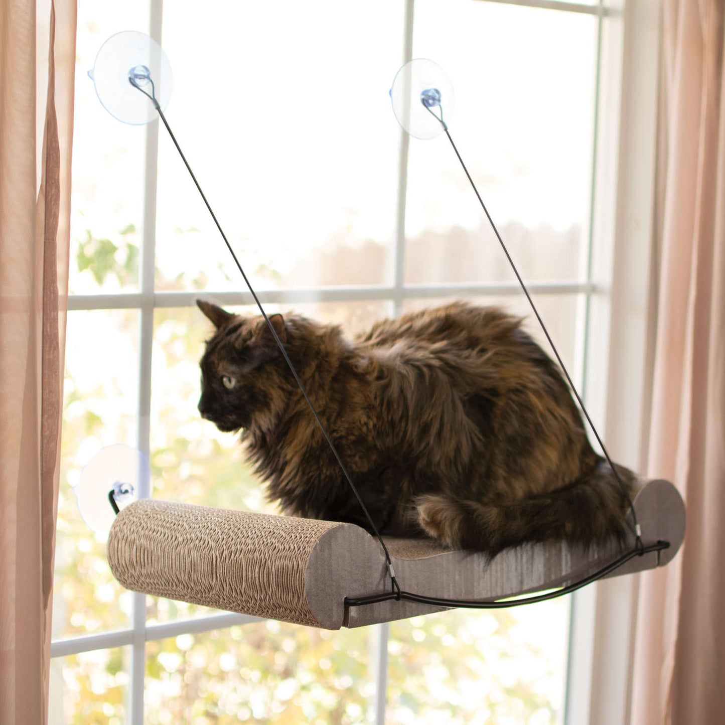 EZ Mount Cat Scratcher Kitty Sill