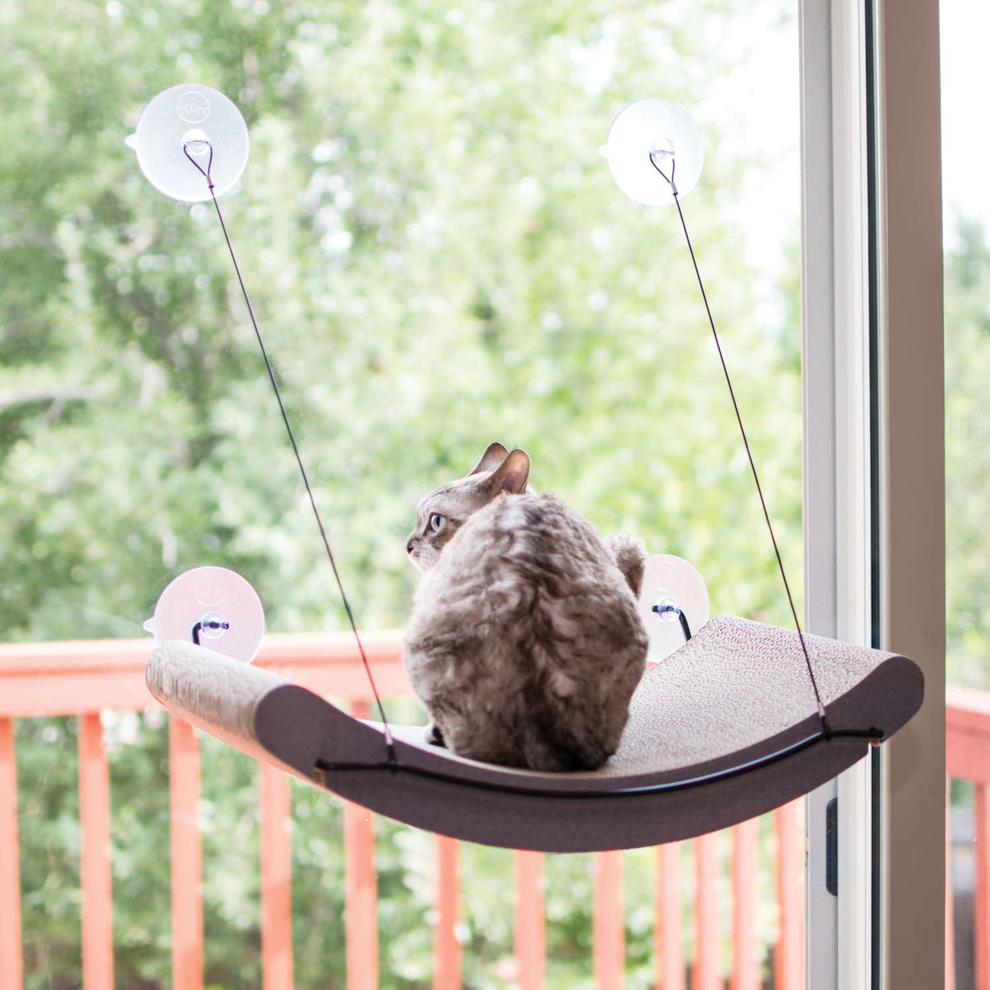 EZ Mount Cat Scratcher Kitty Sill Cradle