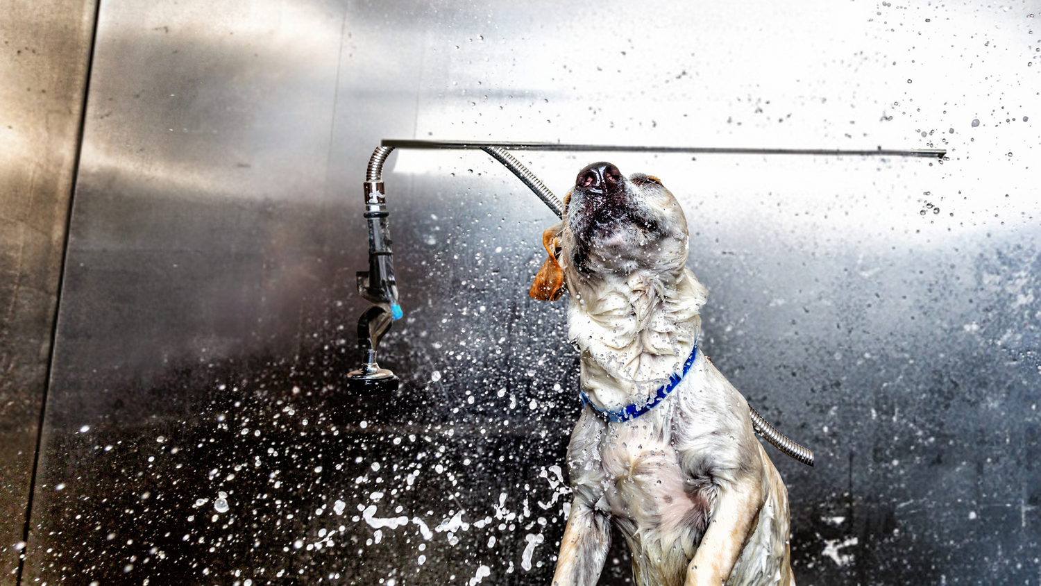 Grooming Tubs
