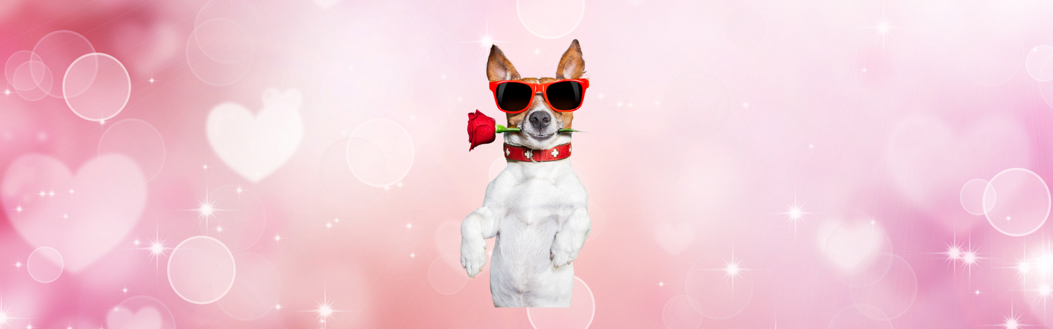 Saint Valentine's Day