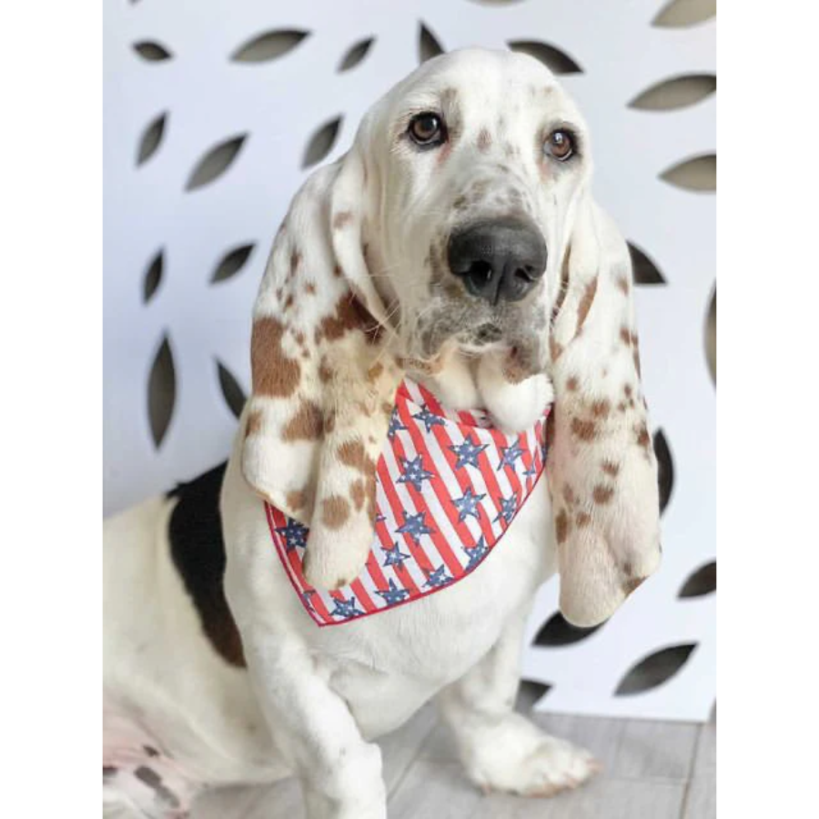 Americana Stars & Stripes Bandana