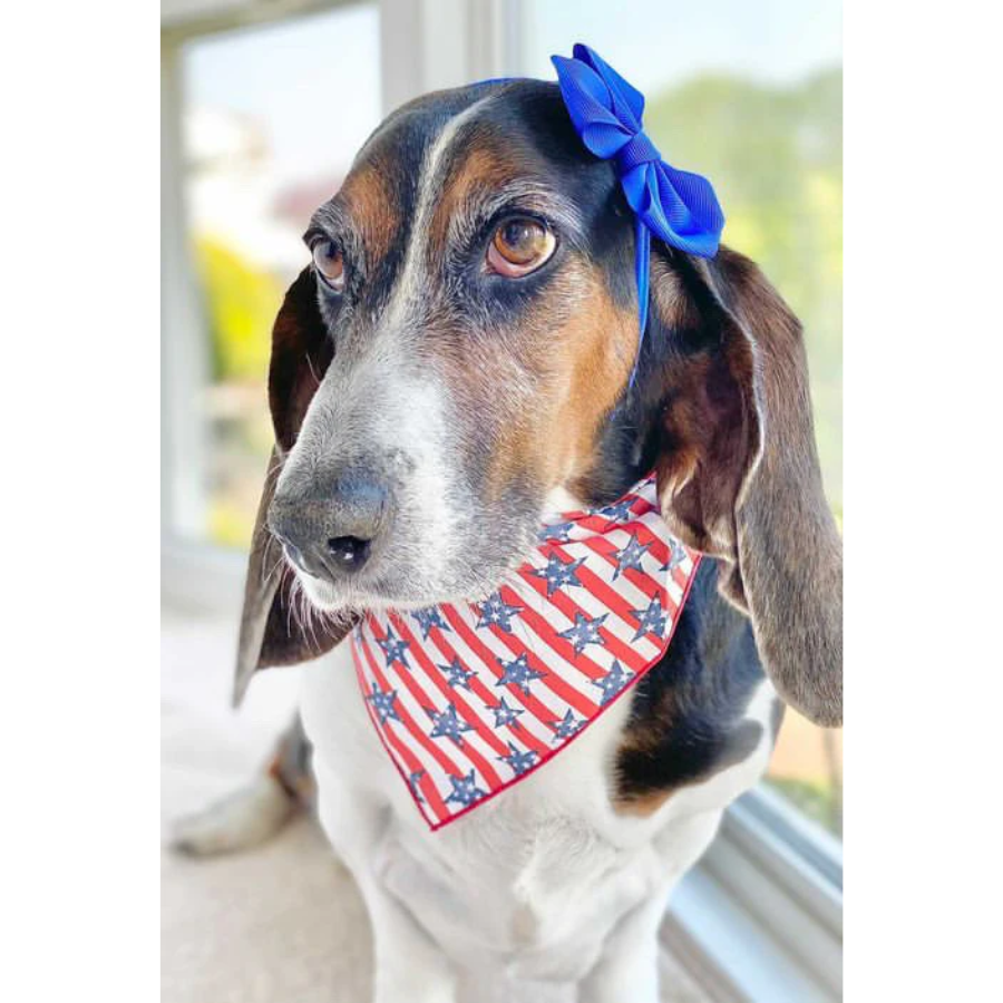 Americana Stars & Stripes Bandana