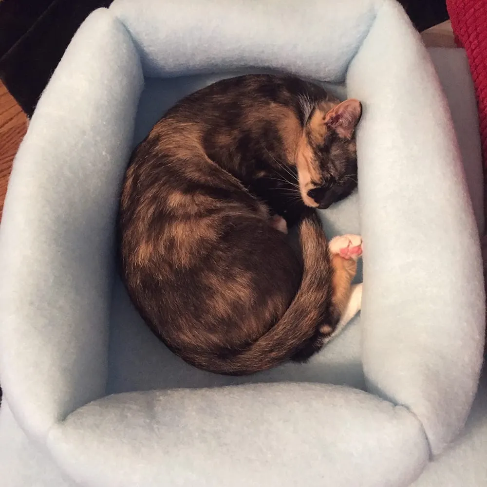 Mysterious Kitty Kuddler Nesting Cat Bed