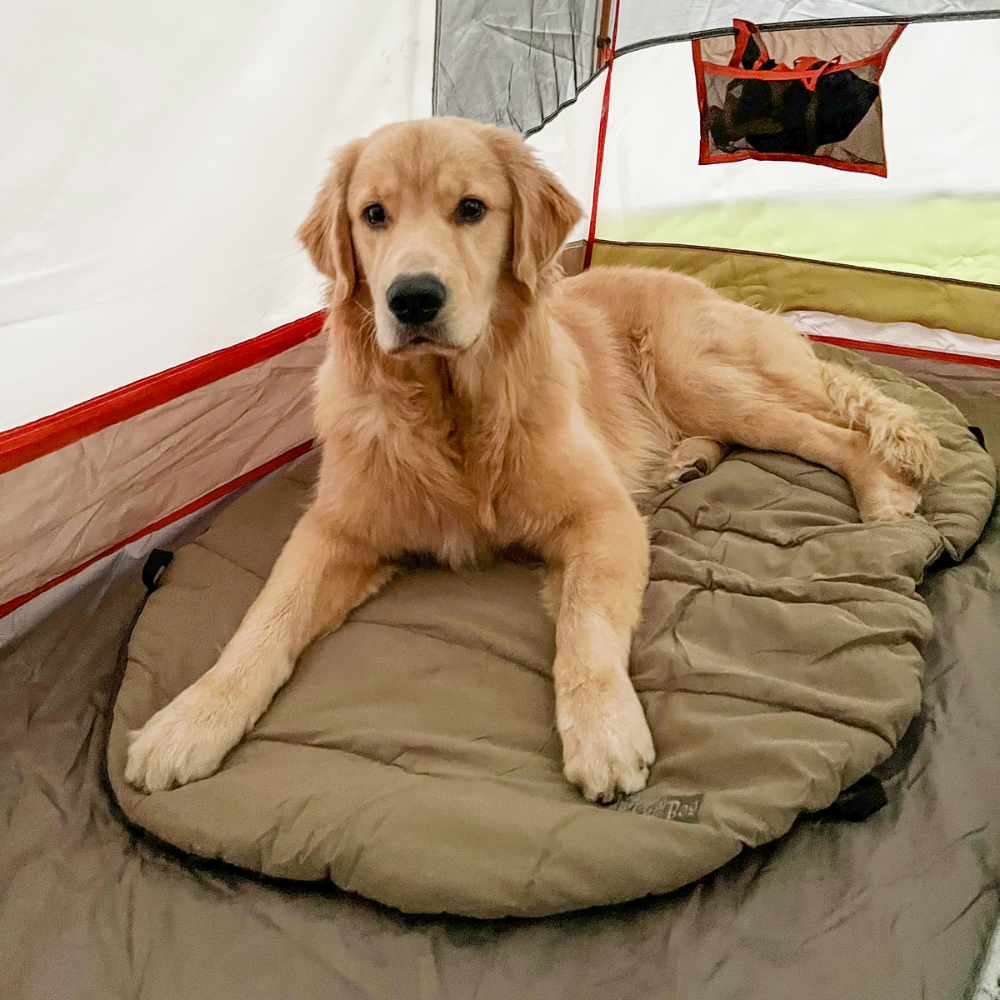 Bed ‘n a Bag Travel Dog Bed