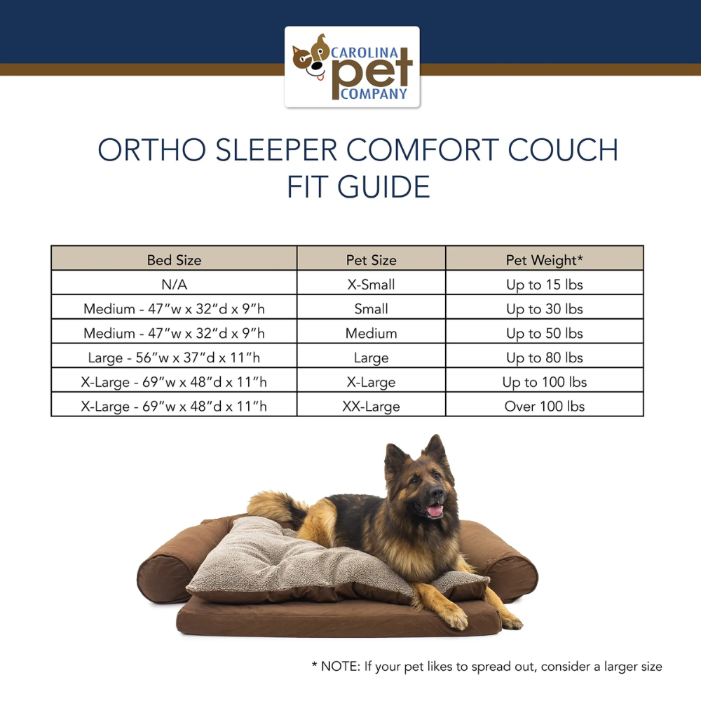 Orthopedic Sleeper Comfort Couch Bed