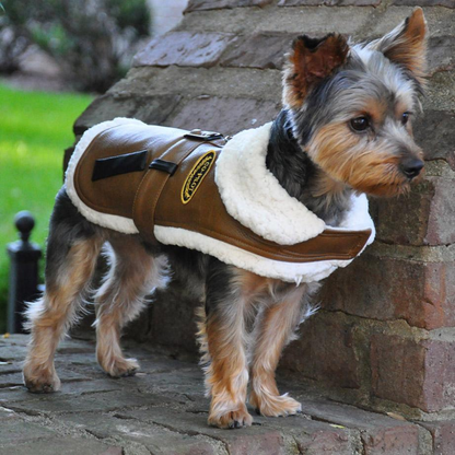 Sherpa-Lined Faux Leather Bomber Dog Coat Harness and Leash