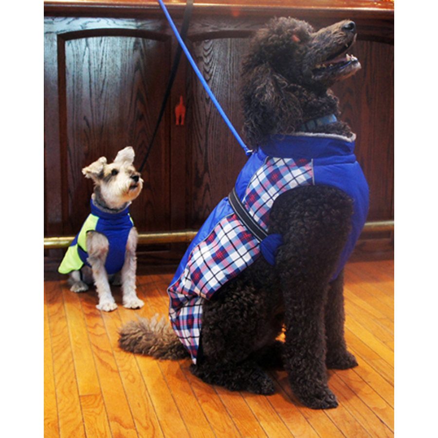 Alpine All Weather Dog Coat - Royal Blue Plaid