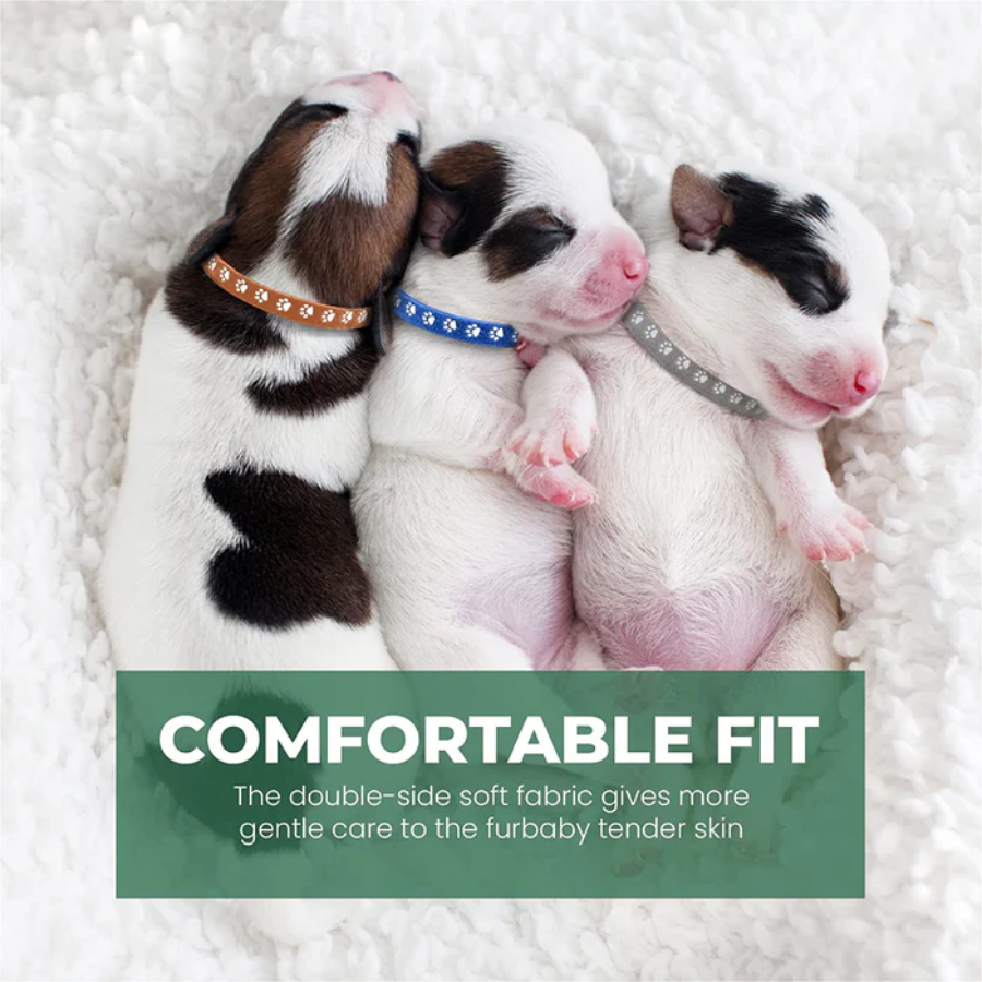 FurBaby Whelping ID Collars