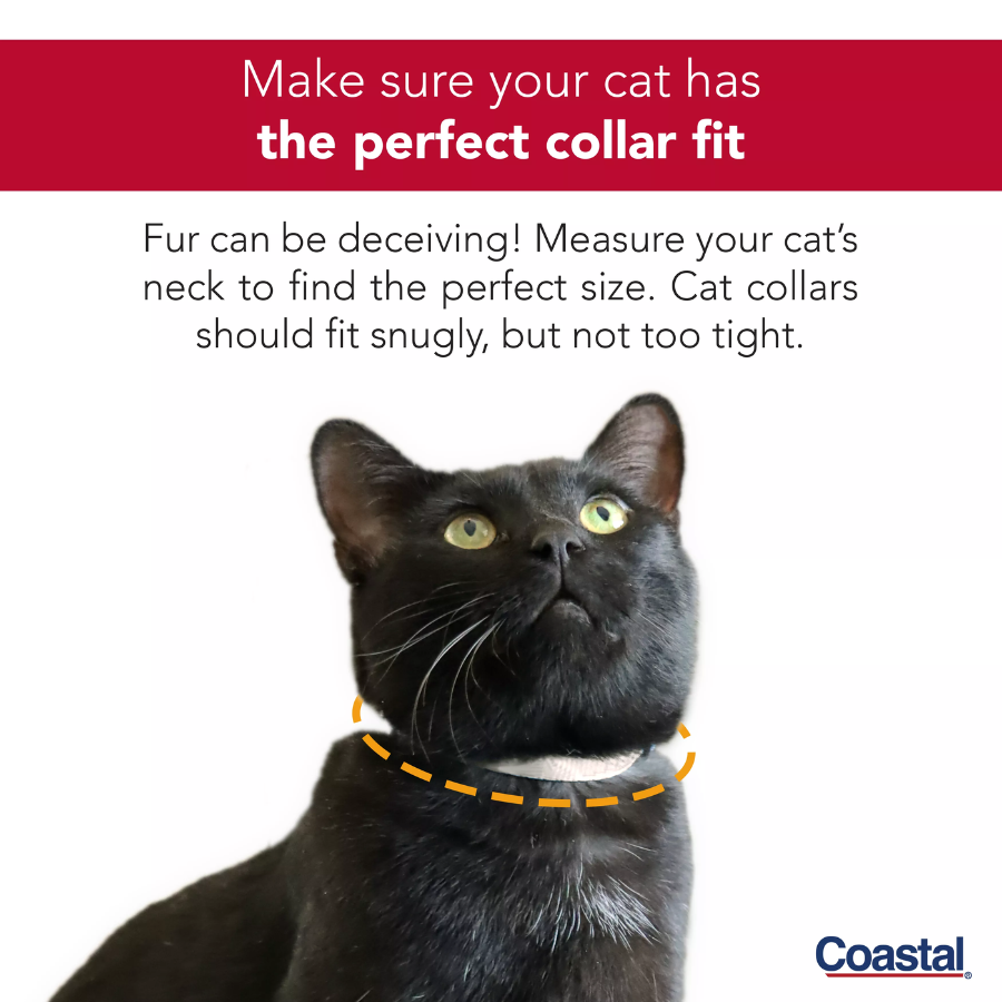 Safe Cat® Adjustable Breakaway Cat Collar with Magnetic Buckle