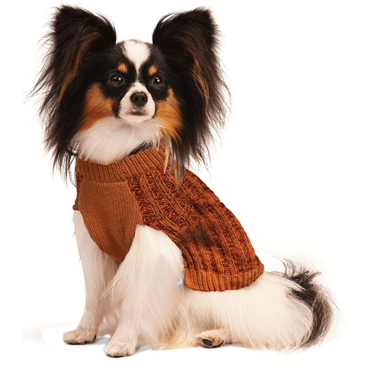 Autumn Sweater