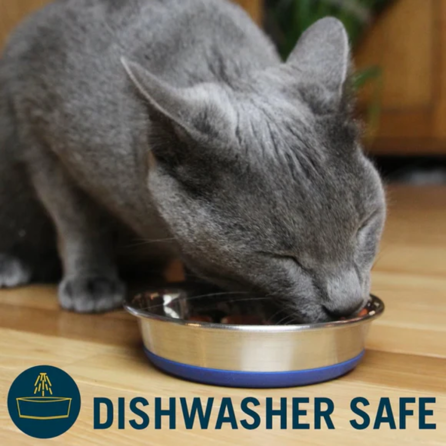 Durapet Premium Stainless Steel Cat Dish