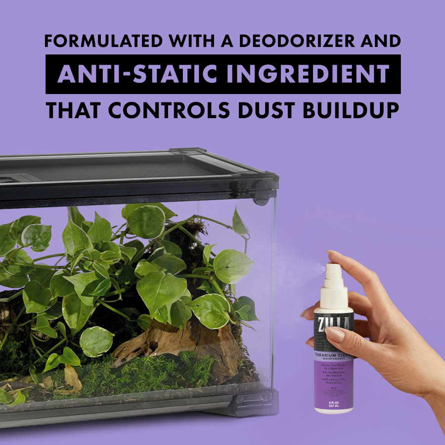 Terrarium Cleaner