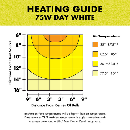 Incandescent Basking Spot Bulbs - Day White Light