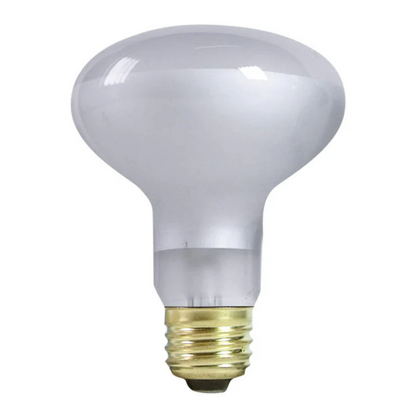 Incandescent Basking Spot Bulbs - Day White Light