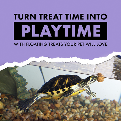 Turtle Chasers Floating Shrimp Treats