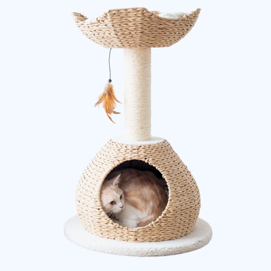 Walk Up 2-Level Cat Tree