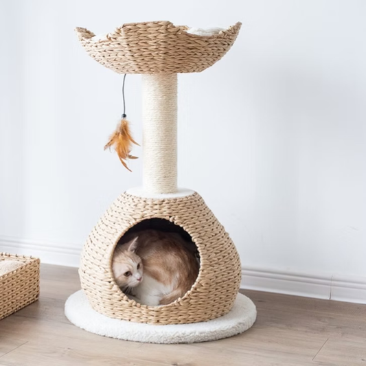 Walk Up 2-Level Cat Tree