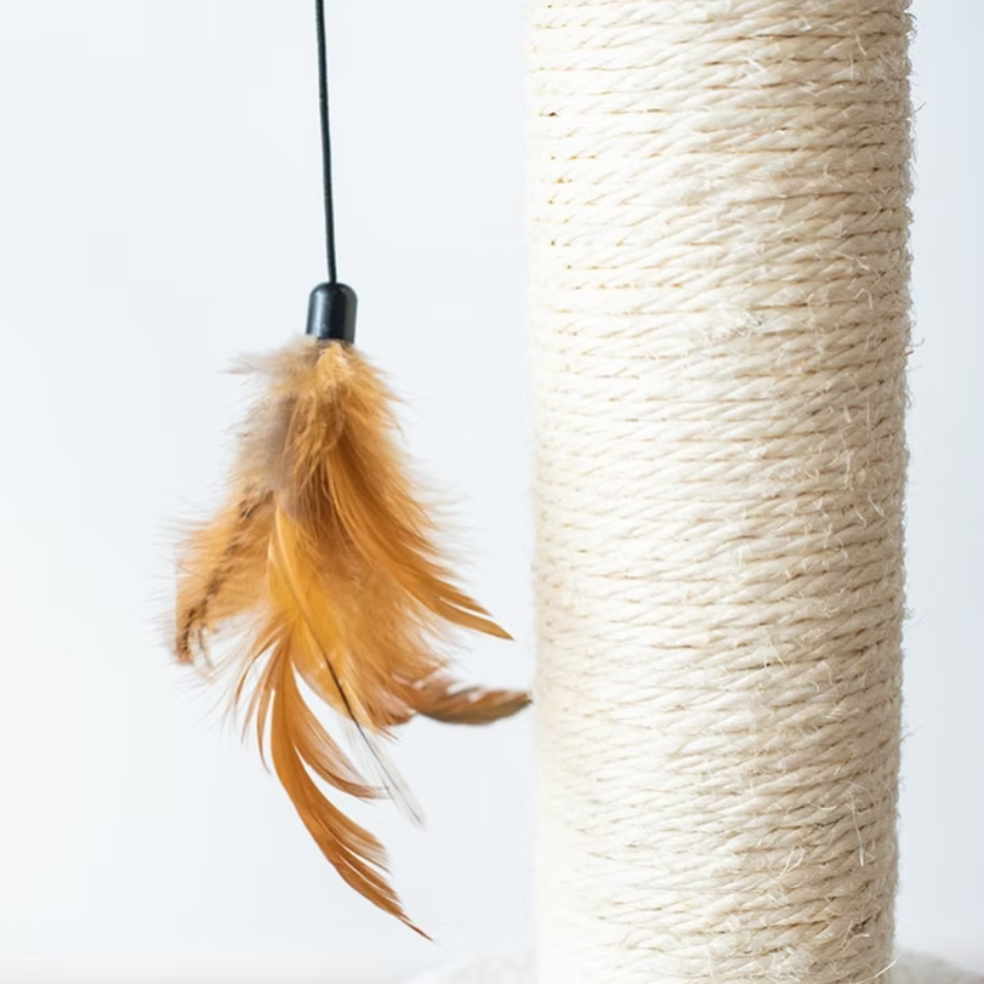 Walk Up 2-Level Cat Tree