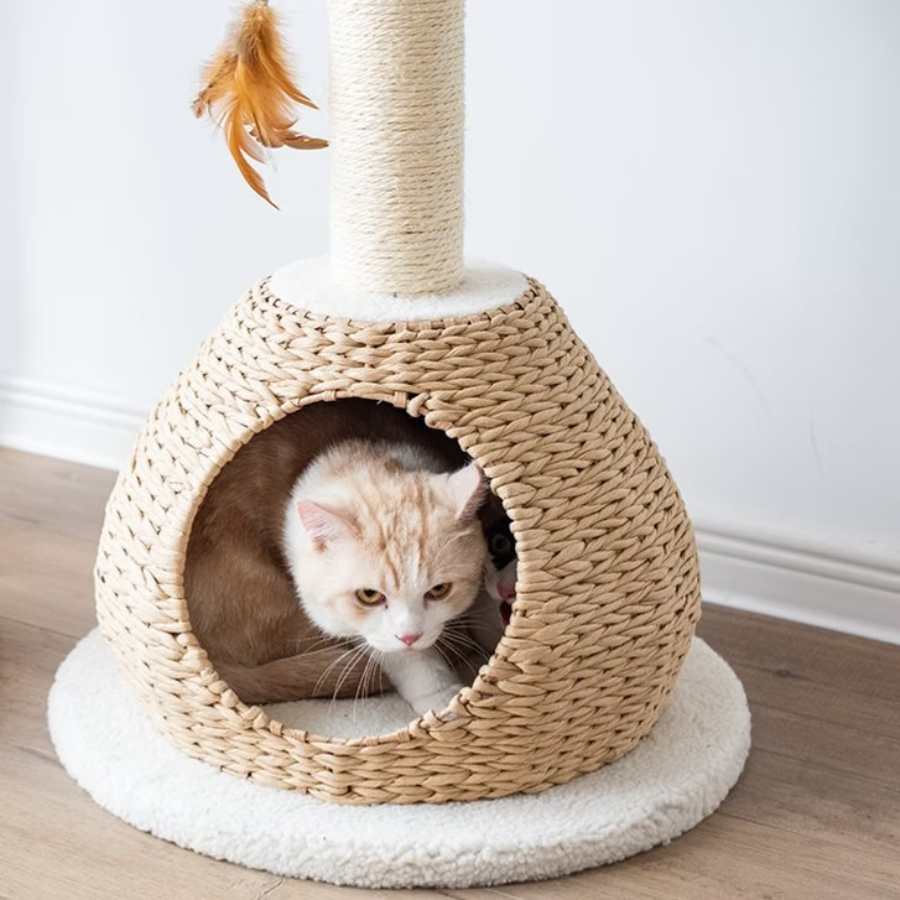 Walk Up 2-Level Cat Tree
