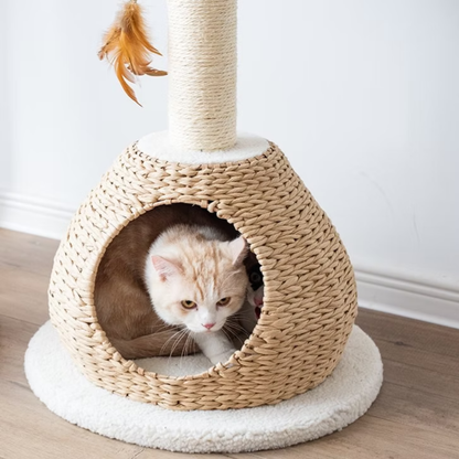 Walk Up 2-Level Cat Tree