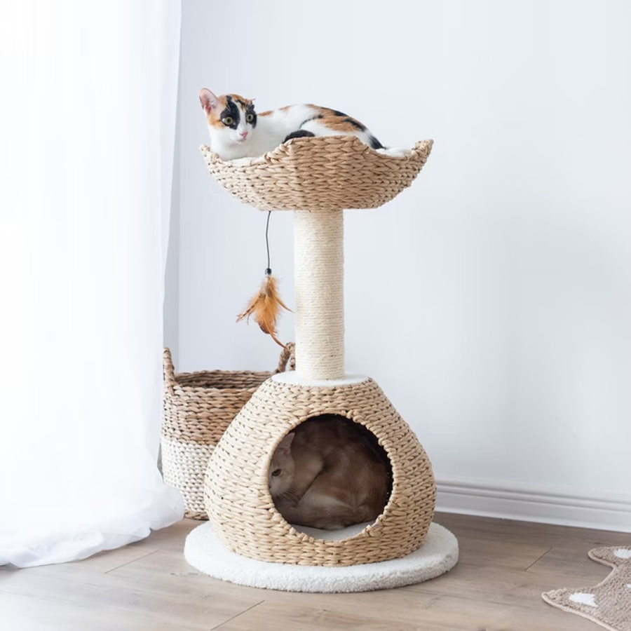 Walk Up 2-Level Cat Tree