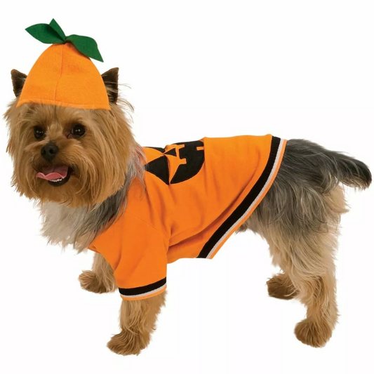Pumpkin Pet Costume