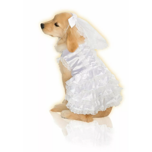 Bride Pet Costume